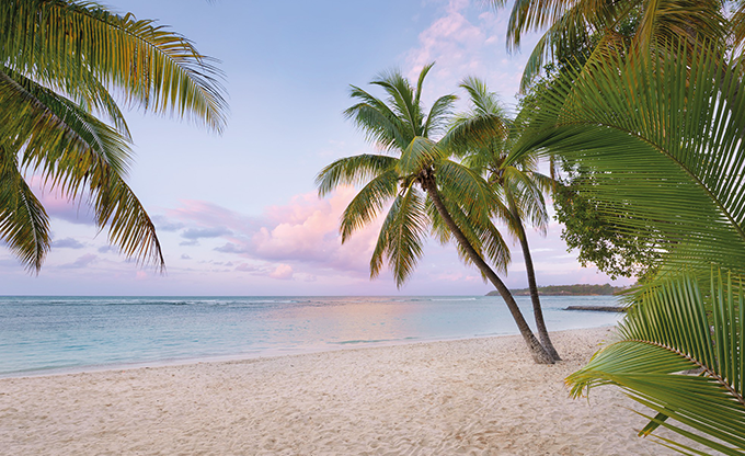 德國(guó)KOMAR壁畫