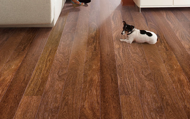 得高Parky進口地板，給家居添上藝術底色 圖片1