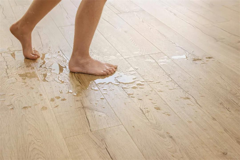 《乘風(fēng)破浪的不止姐姐們,還有這些超帥的騎手》 圖片 7 《乘風(fēng)破浪的不止姐姐們,還有這些超帥的騎手》 圖片 7